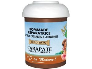 Pommade réparatrice carapate