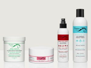 Pack transition pour cheveux - Nappy Queen