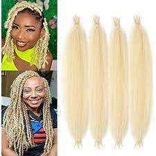 SYN AFRO TWIST BRAID 613